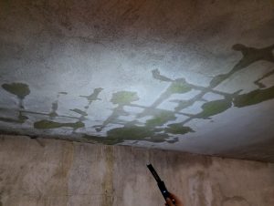 particolare del soffitto durante la manifestazione di tracciante colorato